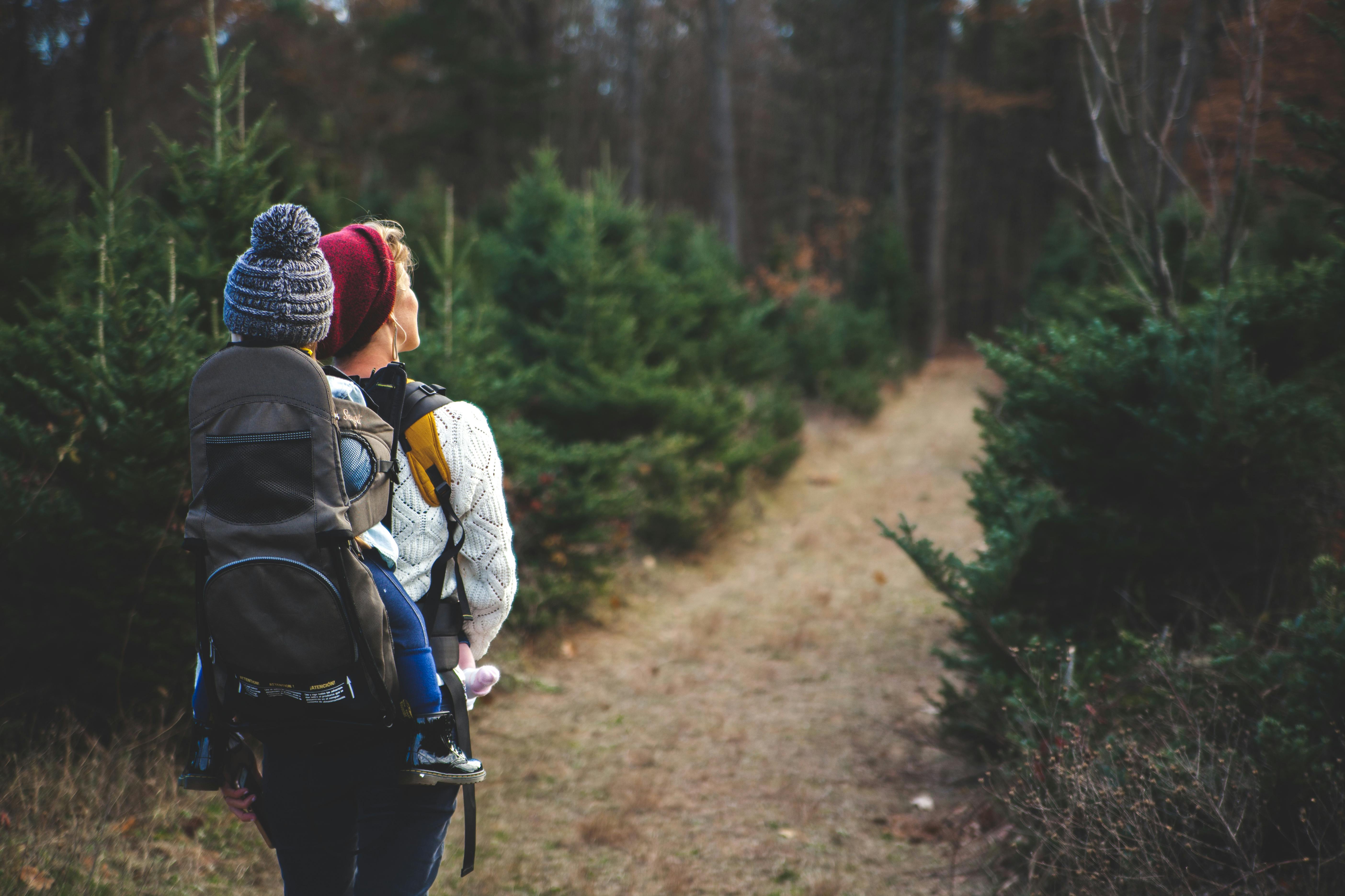 Family hiking with baby gear